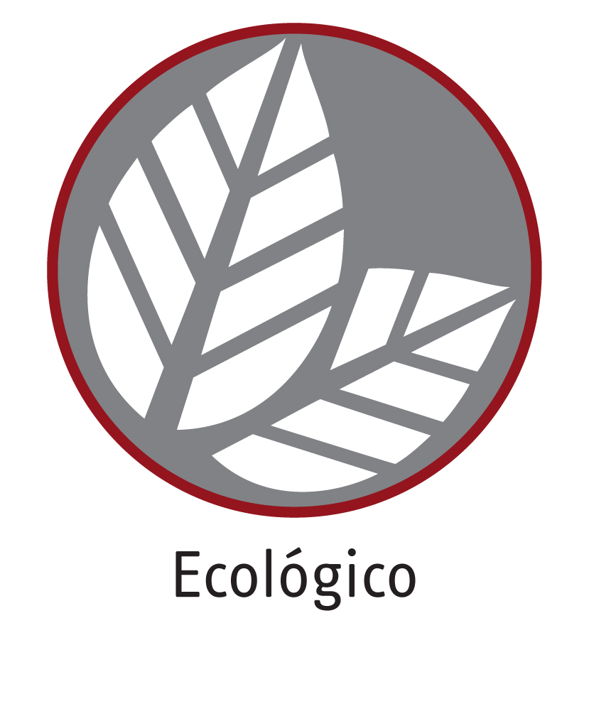 https://www.stiebeleltronamericas.com/sites/default/files/Icon-Ecology.jpg